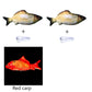 Electric Fish Toy
