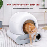 Automatic Litter Box