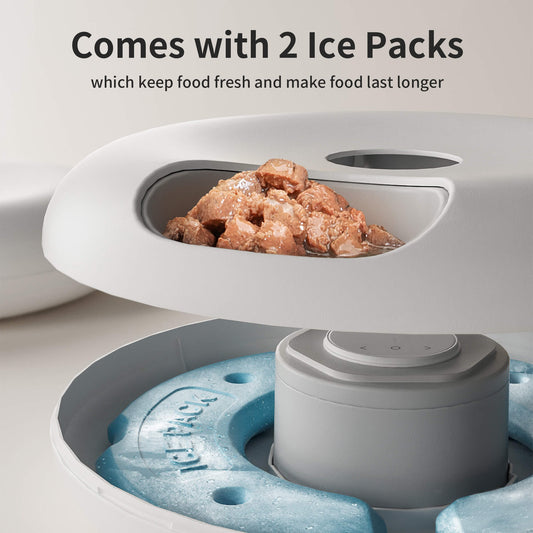 Donut Frost WiFi 6 Meal