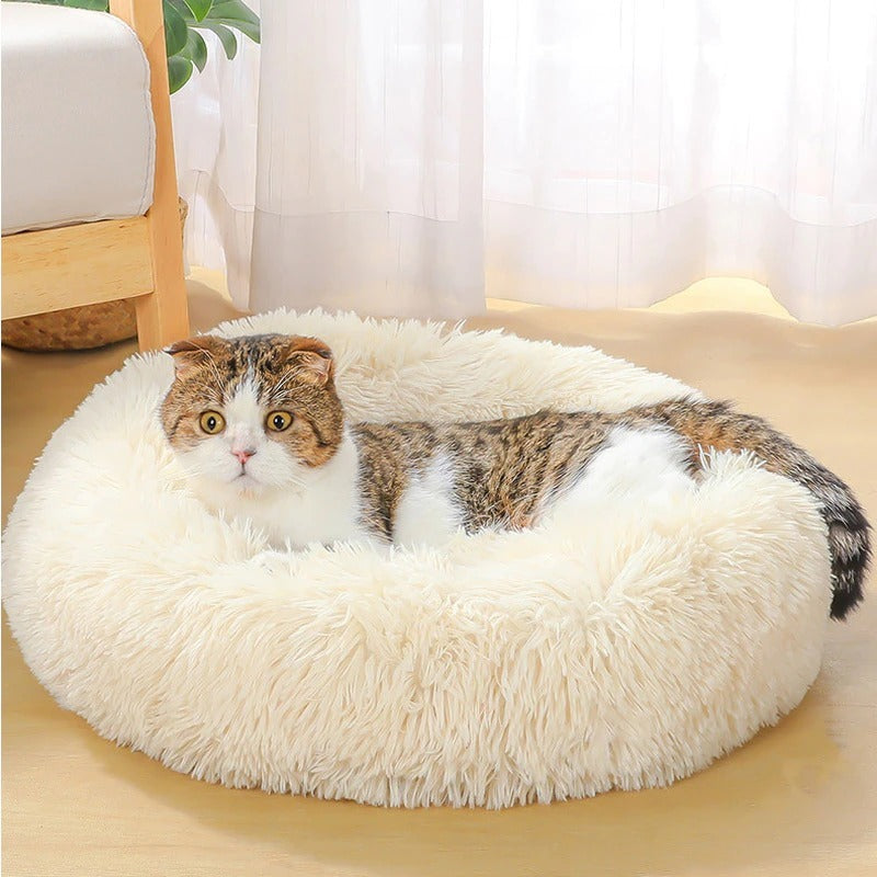 Dog Bed