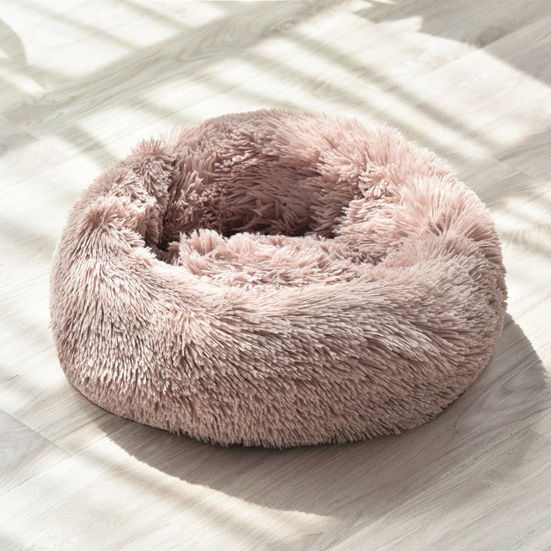 Dog Bed