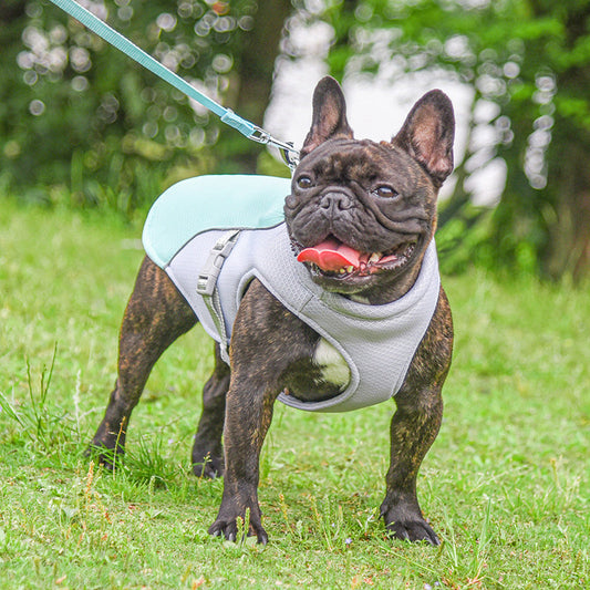 Summer Pet Outdoor Breathable