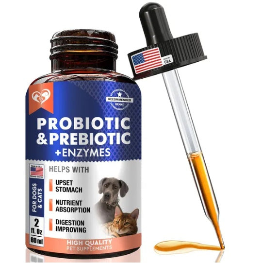 Probiotics Prebiotics With Enzymes