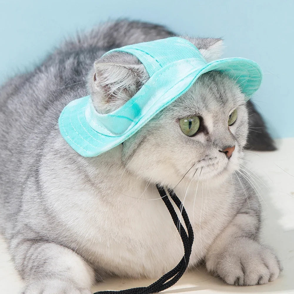 Fashion Dog Hat