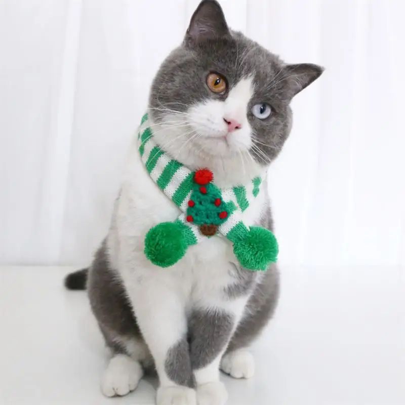 Adjustable Small Puppy Winter