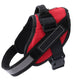 Adjustable Pet Harness For Dog Vest ID Custom Patch Outdoor Walking Dog Supplies