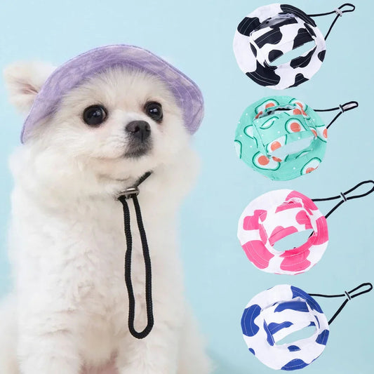 Fashion Dog Hat