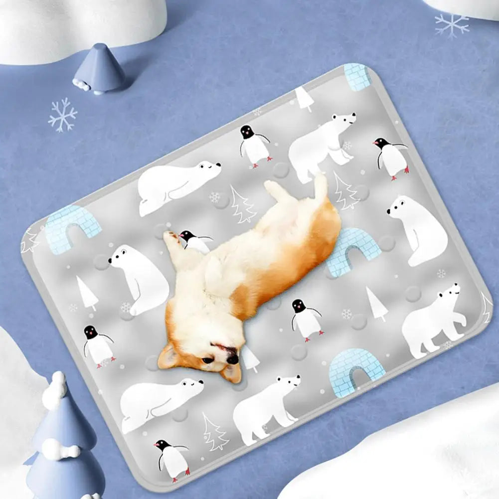 Pet ice pad