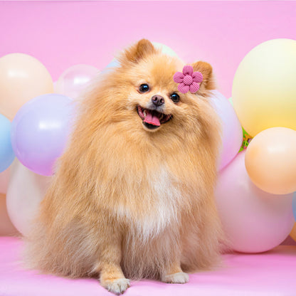 Pet Headdress Flower