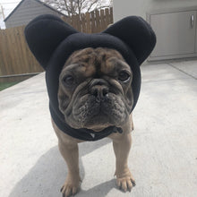 Pullover Pet Products