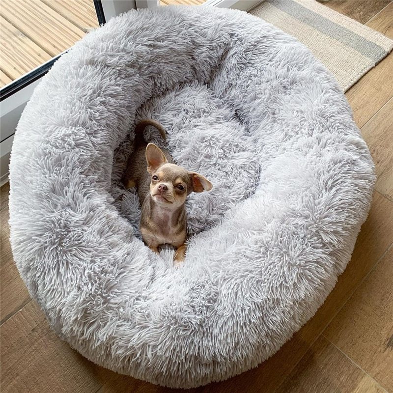 Dog Bed