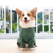 Dog Clothing With Traction Hole