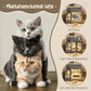 CatToilet