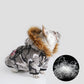 Dog Down Jacket