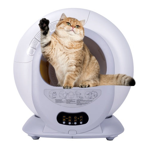 Self-cleaning litter box