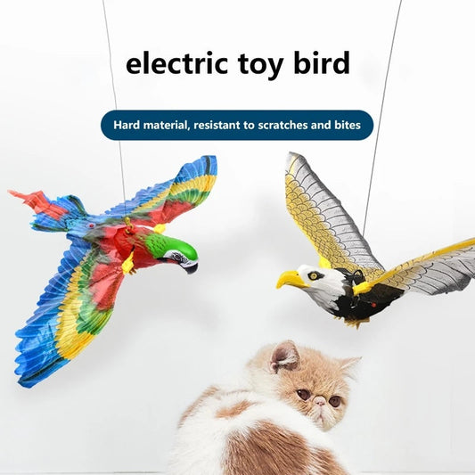 Simulation Bird Cat