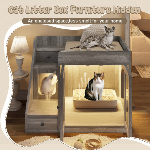 ModernLitterBox