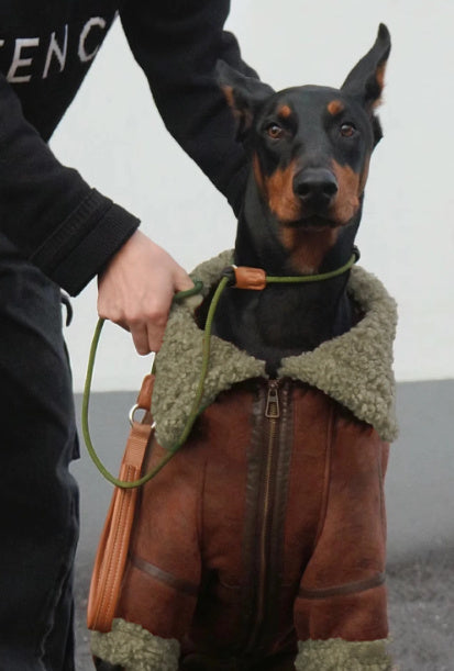 Winter Plus Velvet Pet