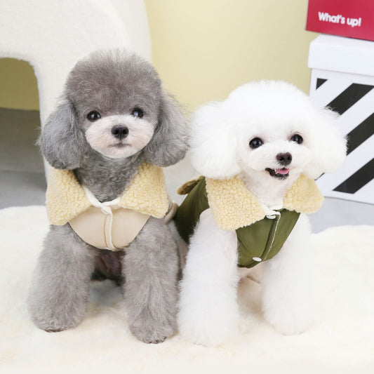 Teddy Cat Nordic Fur Collar