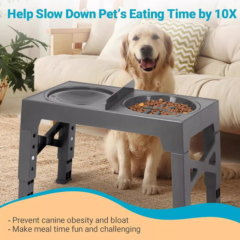 Elevated Dog Feeder