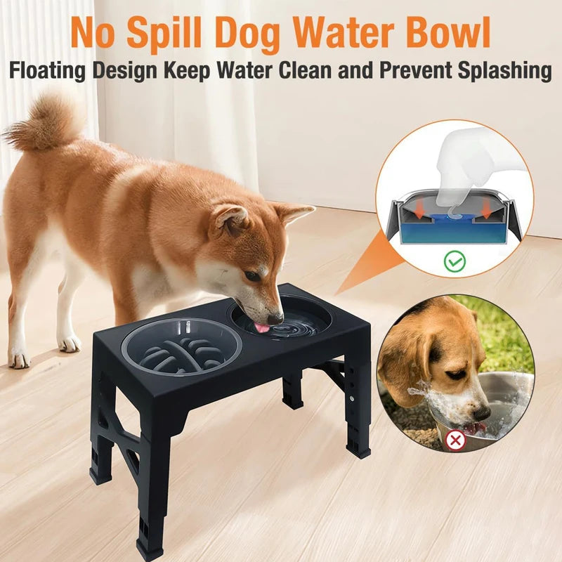 Elevated Dog Feeder