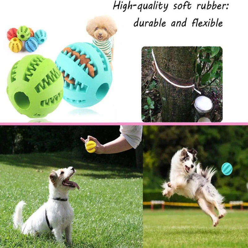 Dog Toy Ball