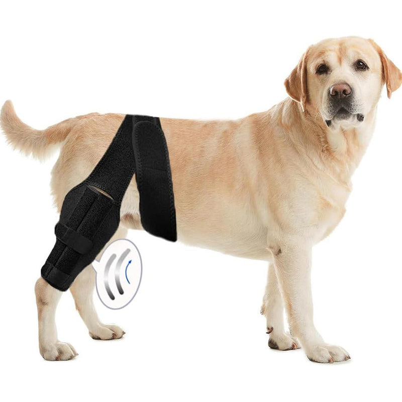 Pet Protective Gear Dog Leg Injury Assistance Support Bar Rehabilitation Training Belt