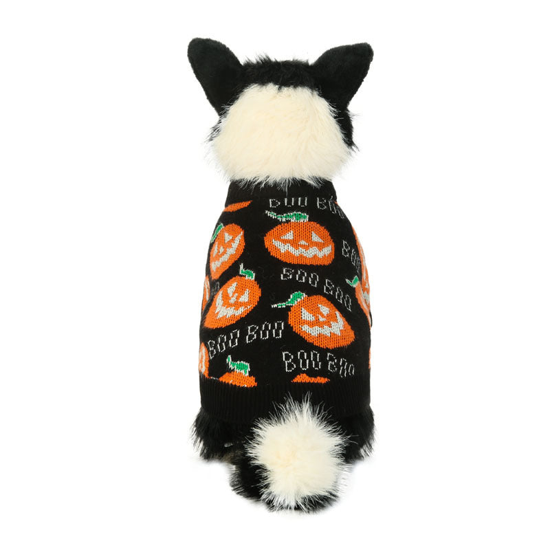 Halloween Pet Dog Sweater in black knit with orange pumpkins, green details and white “BOO” text, shown on a dog.