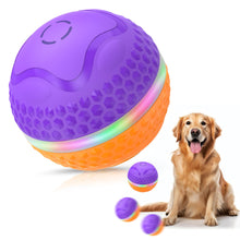 Interactive Dog Toys