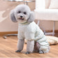 Dog Fashion Outdoor