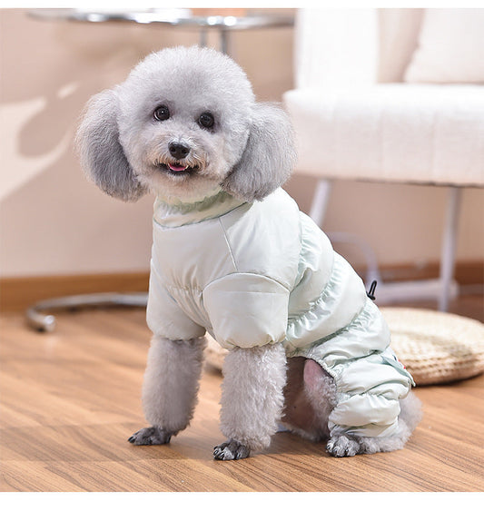 Dog Fashion Outdoor