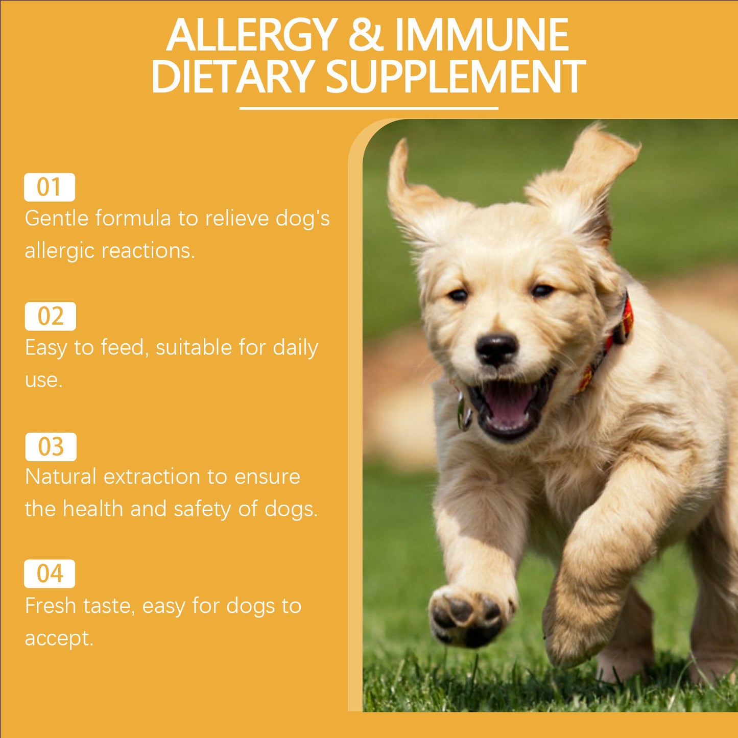 Dog Body Nutrition Care Supplement Drops