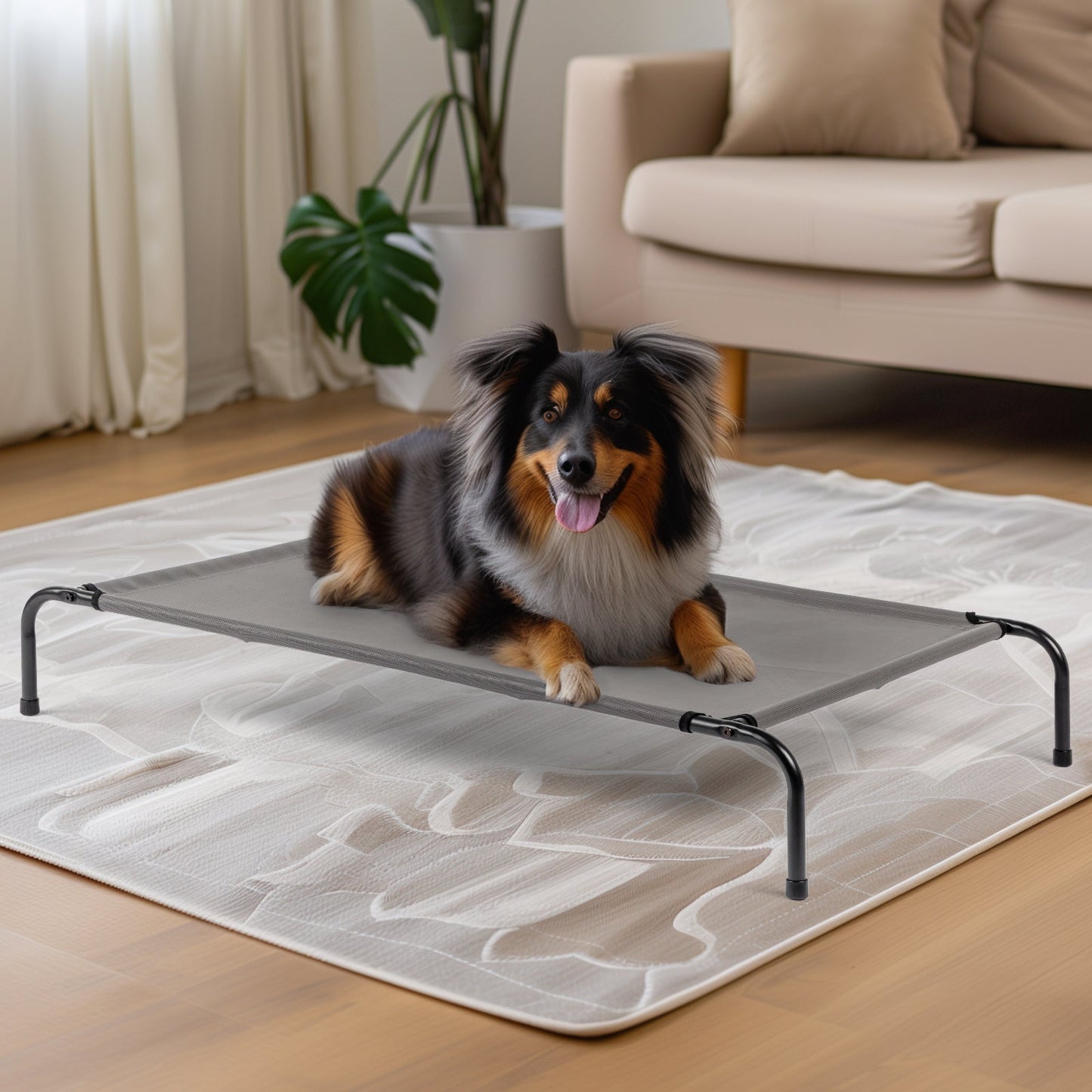 Elevated Dog Bed