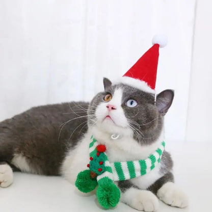 Adjustable Small Puppy Winter