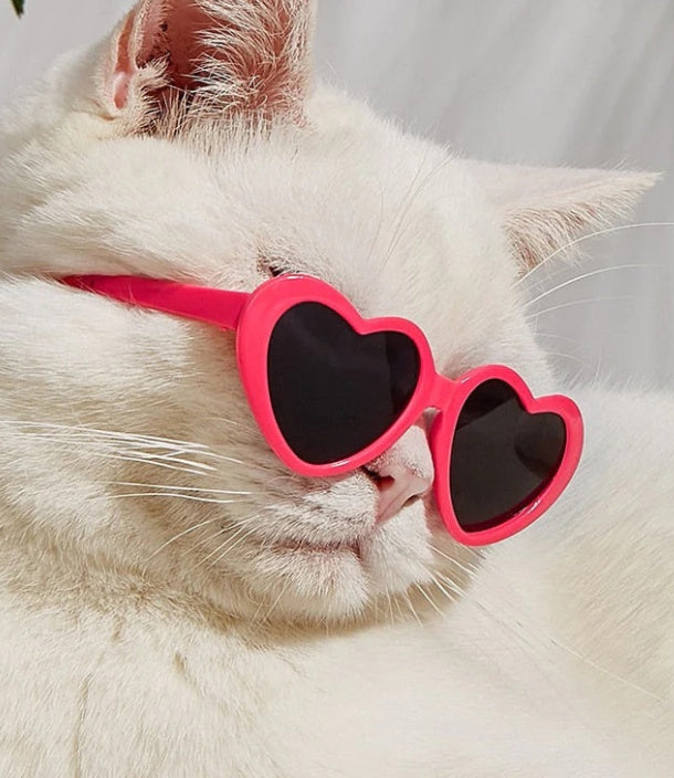 Doll Sunglasses