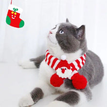 Gray and white cat wearing an adjustable small puppy winter red and white knitted scarf with pom-poms