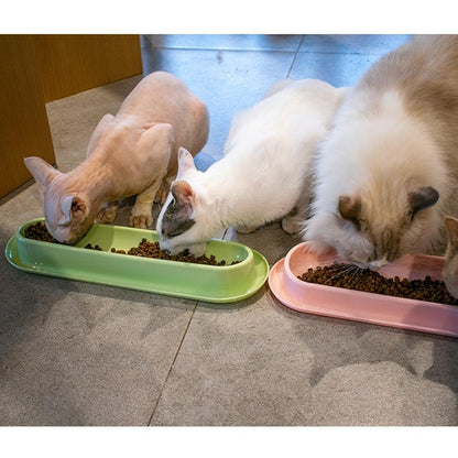 Pet Bowls