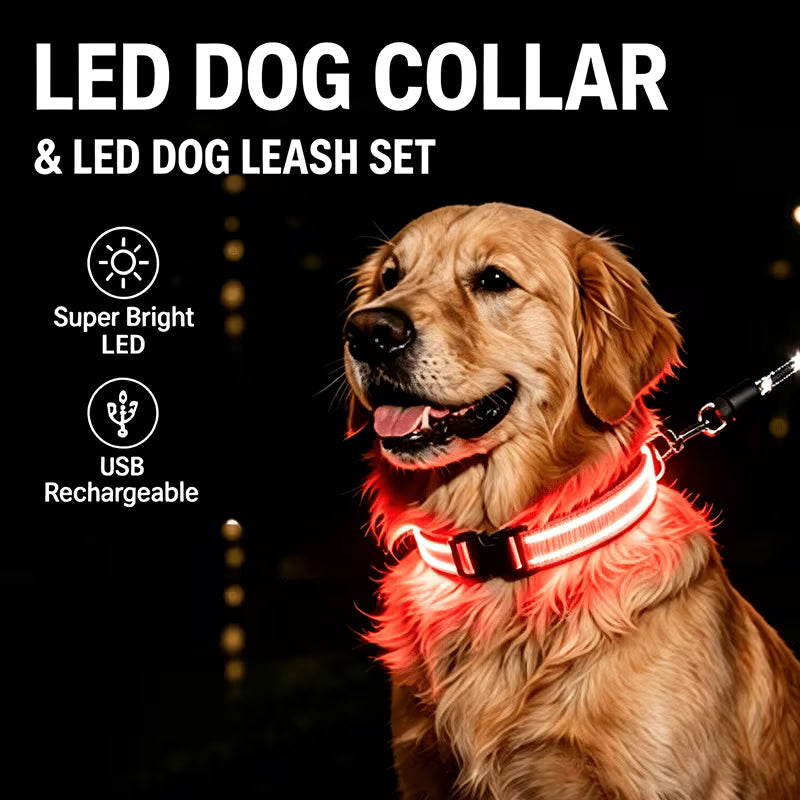Glow-in-the-dark LED pet collar for nighttime safety and high visibility
