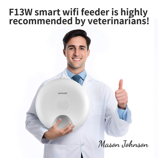 Donut Frost WiFi 6 Meal