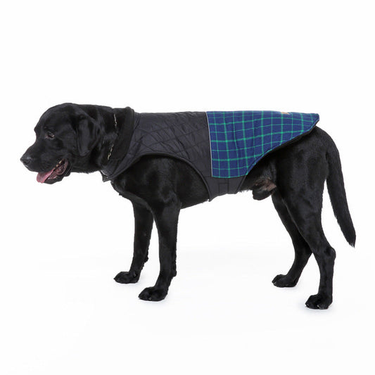 Big Dog Clothes