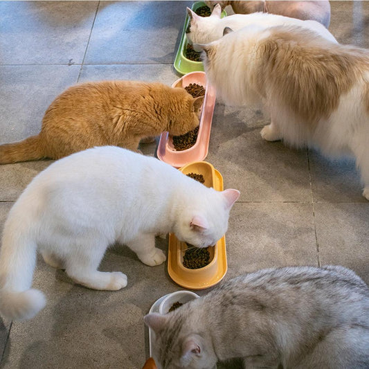 Pet Bowls