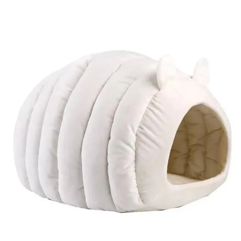 Cats Pet Products