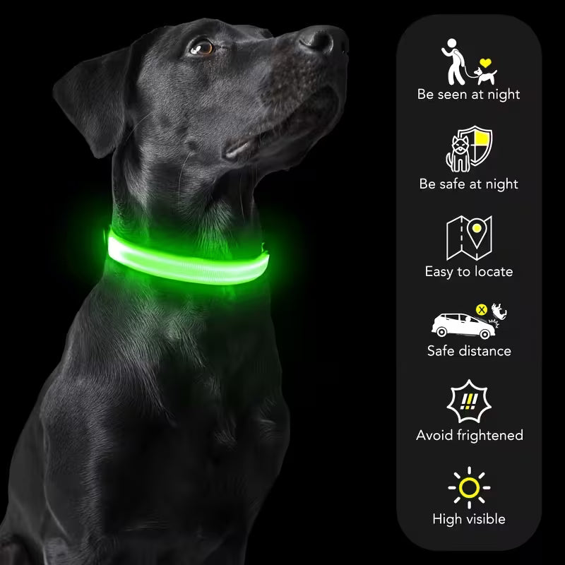 Glow-In-The-Dark Pet Collar