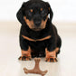 Pet Teething Stick