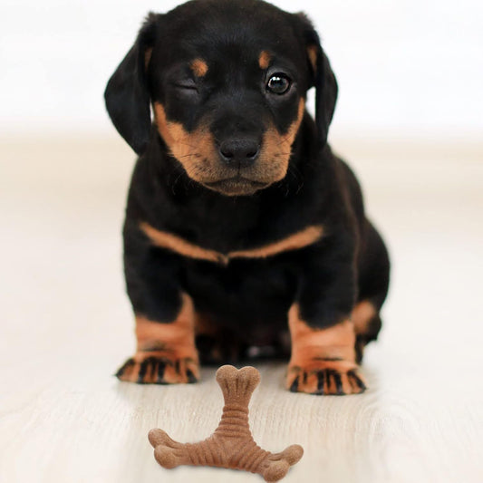 Pet Teething Stick