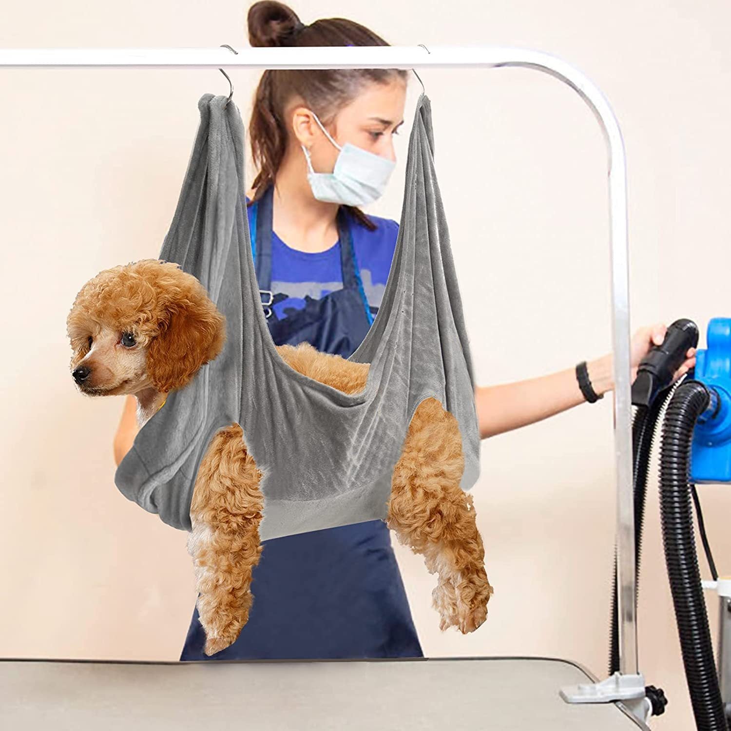 Dog Cat Grooming