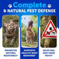 monthly flea treatment