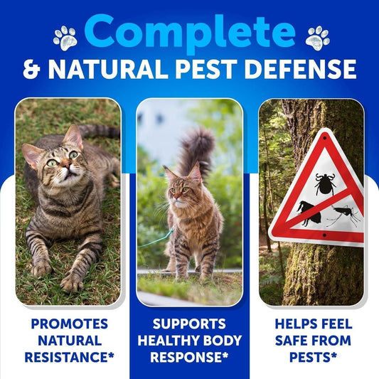 monthly flea treatment