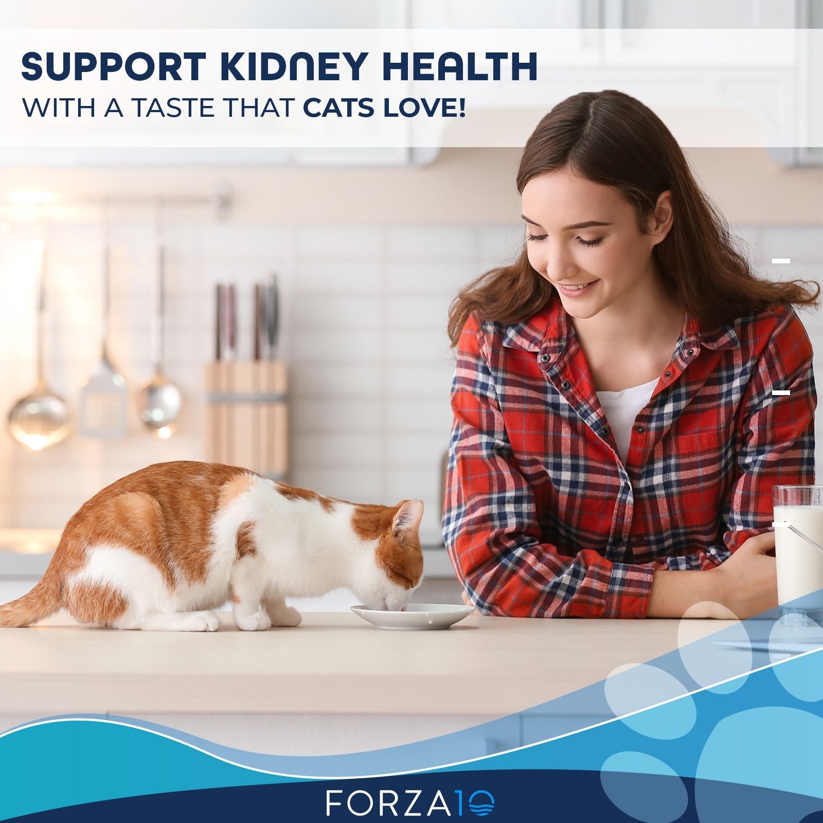  Active Cat Renal