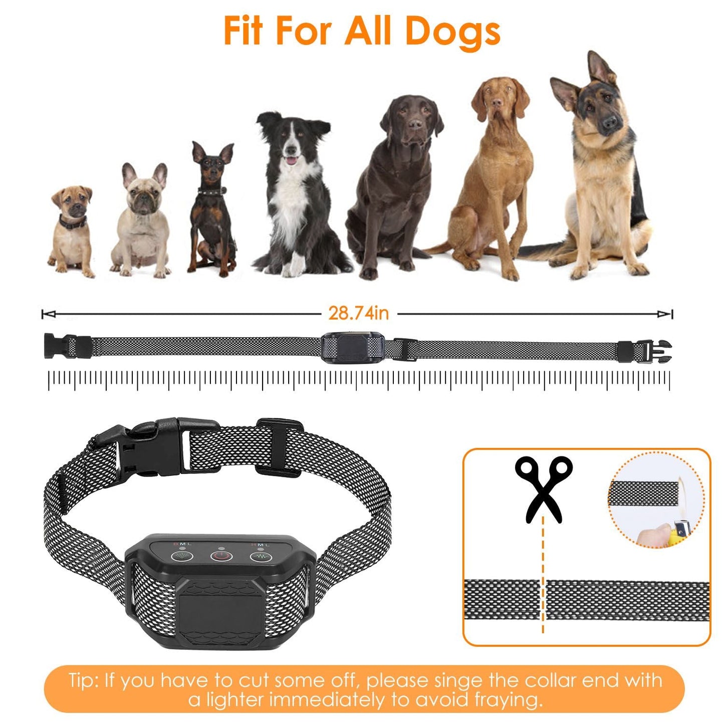 Citronella Bark Collar